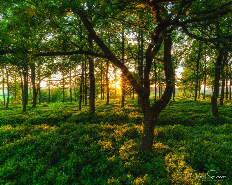 Fjärås, Kungsbacka kommun. Foto: Mikael Svensson, www.mikaelsvensson.com