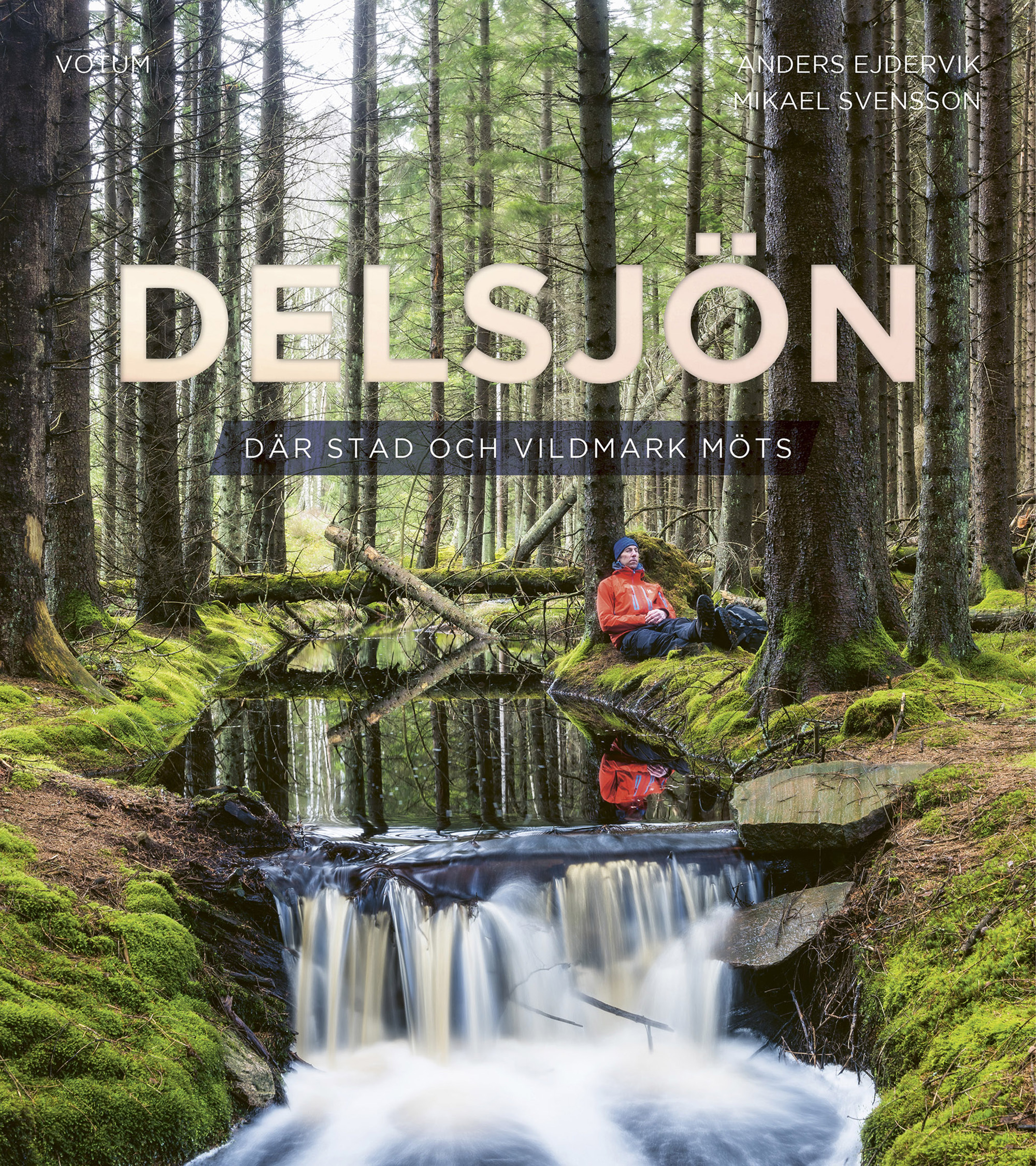 delsjon-omslag