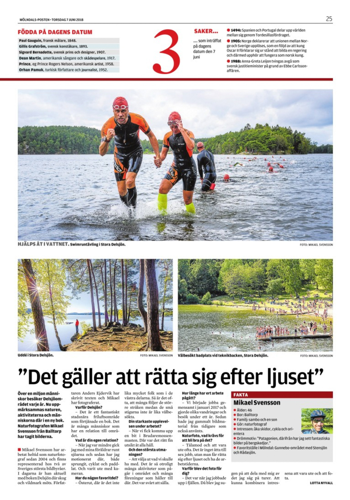 Det gäller att rätta sig efter ljuset.