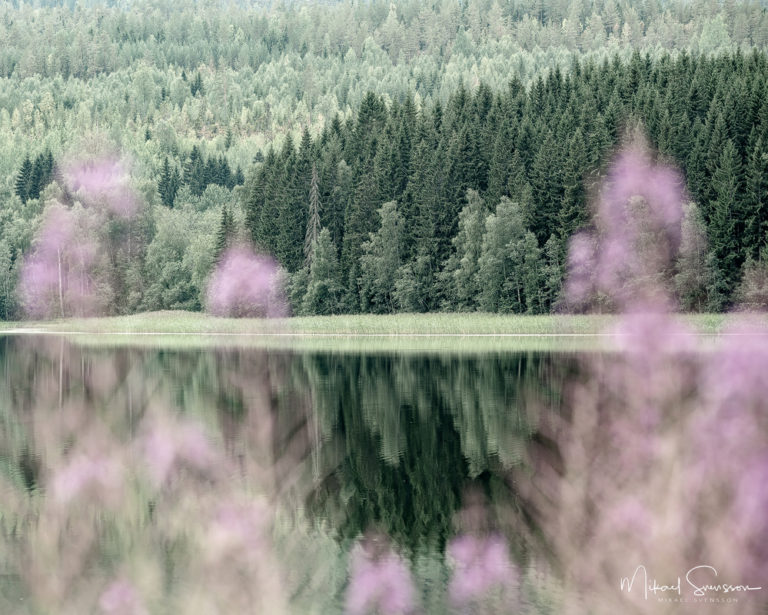 Utbysjön, Örnsköldsvik, Sverige. Foto: Mikael Svensson, www.mikaelsvensson.com