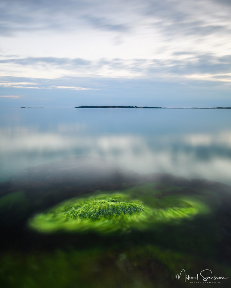 30 juli 2018. Stråvalla, Halland, Sweden. Foto: Mikael Svensson, www.mikaelsvensson.com