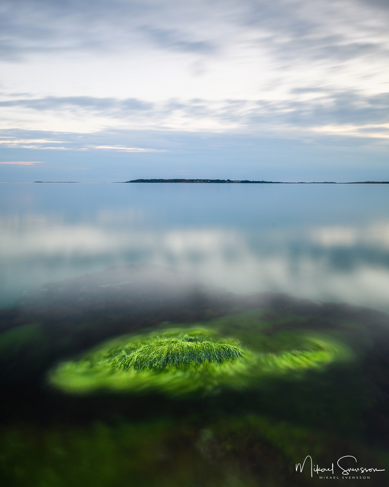 30 juli 2018. Stråvalla, Halland, Sweden. Foto: Mikael Svensson, www.mikaelsvensson.com