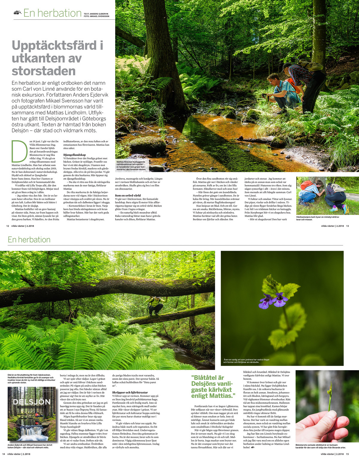 Upptäcktsfärd i utkanten av storstaden Upptäcktsfärd i utkanten av storstaden. Artikel i tidskriften Vilda Växter nr 2 / 2018.