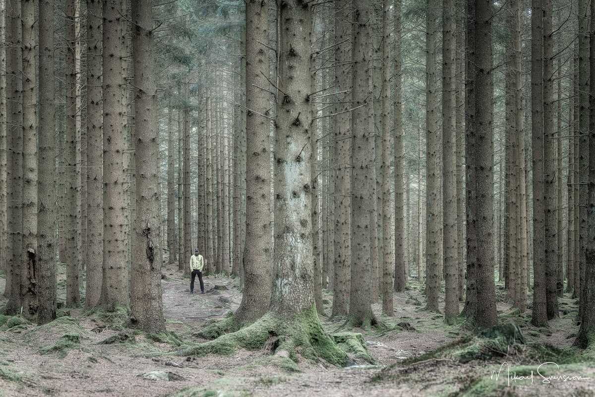 Mölndal, Sweden. Foto: Mikael Svensson, www.mikaelsvensson.com