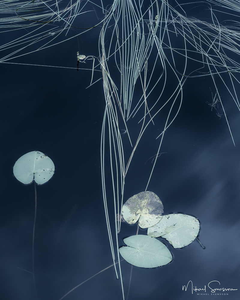 Gröen, Landvetter. Foto: Mikael Svensson, www.mikaelsvensson.com