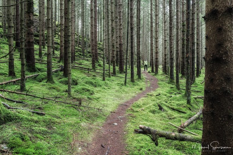 Hjälmared, Alingsås. Foto: Mikael Svensson, www.mikaelsvensson.com