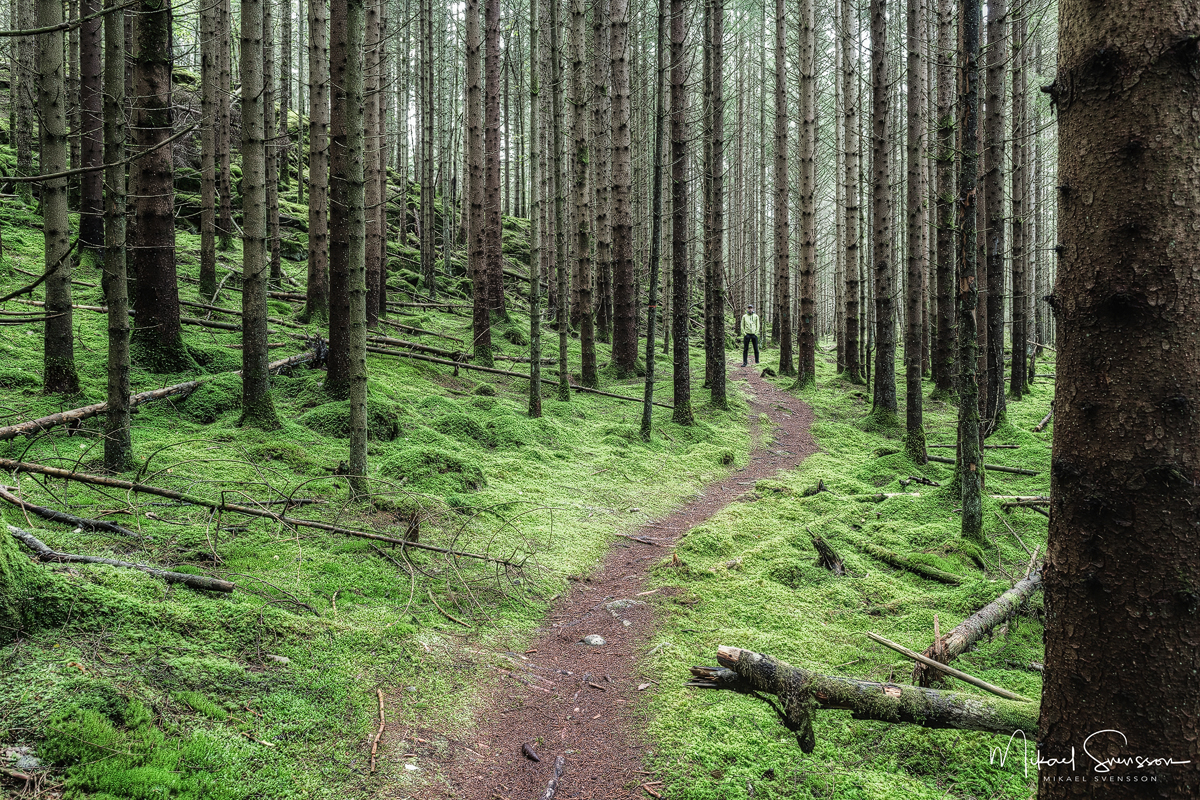 Hjälmared, Alingsås. Foto: Mikael Svensson, www.mikaelsvensson.com
