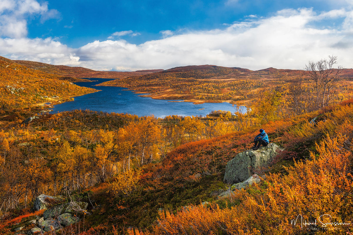 Oledalen, Beitostølen, Oppland fylke, Norway. Foto: Mikael Svensson, www.mikaelsvensson.com