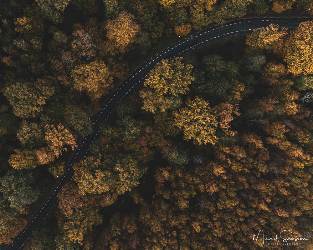 Gunnebo, Mölndal. Foto: Mikael Svensson, www.mikaelsvensson.com