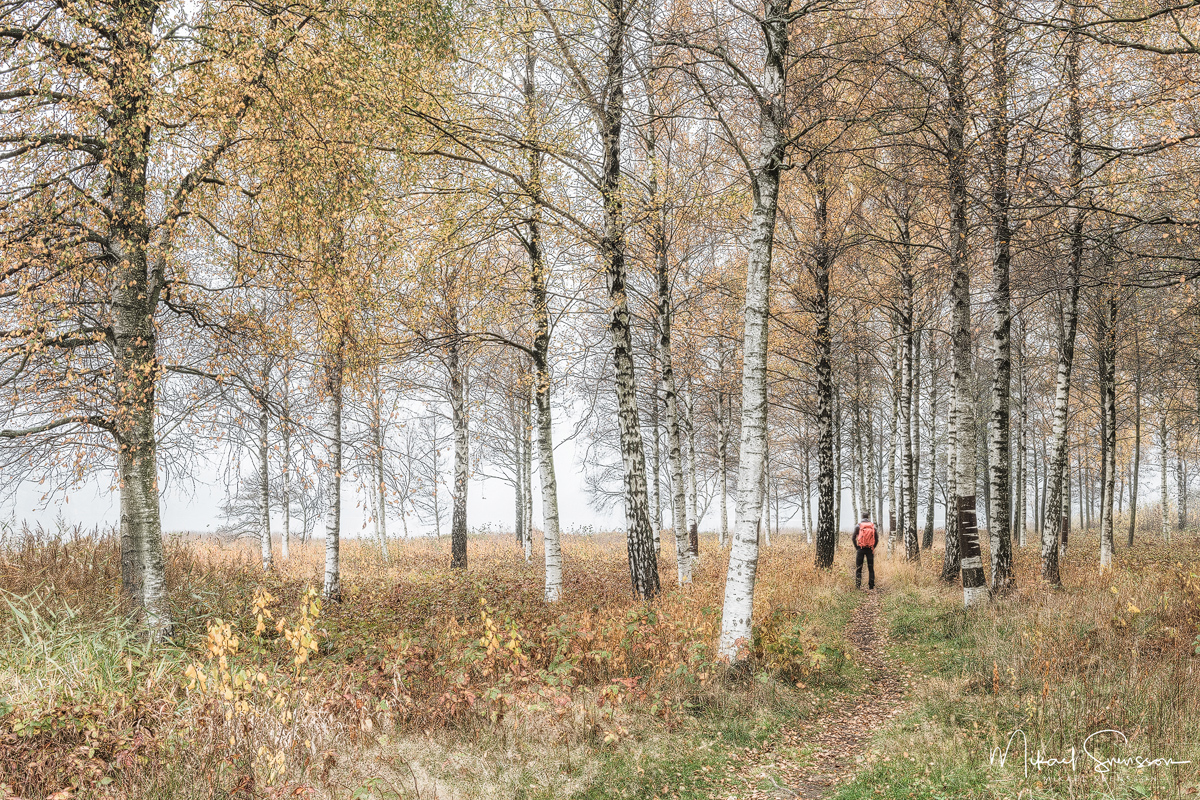 Landvetter, Härryda kommun, Sweden. Foto: Mikael Svensson, www.mikaelsvensson.com