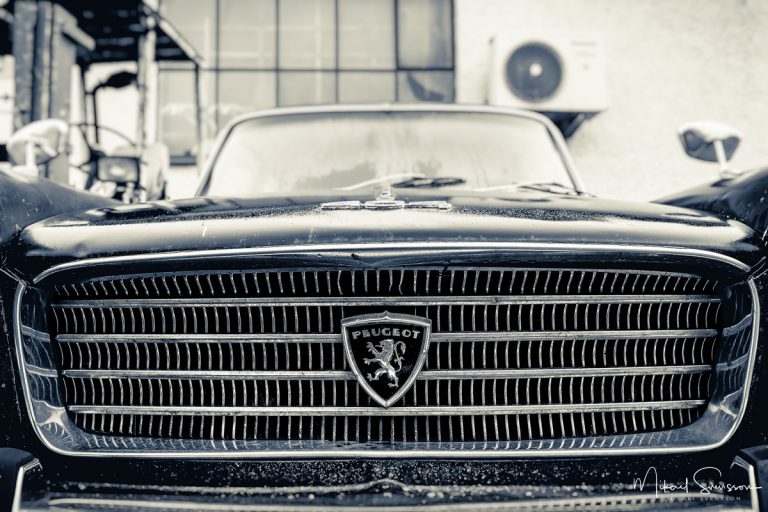 Grevedämmet, Mölndal.