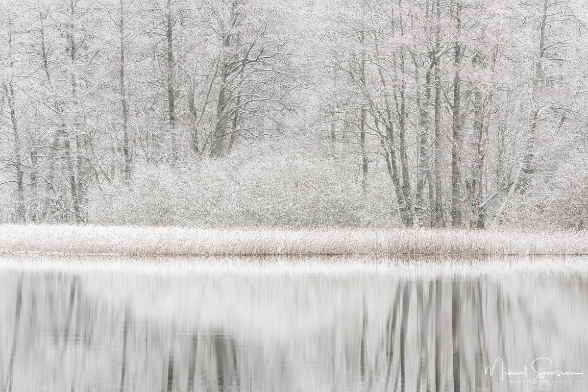 Stensjön, Mölndal. Foto: Mikael Svensson, www.mikaelsvensson.com