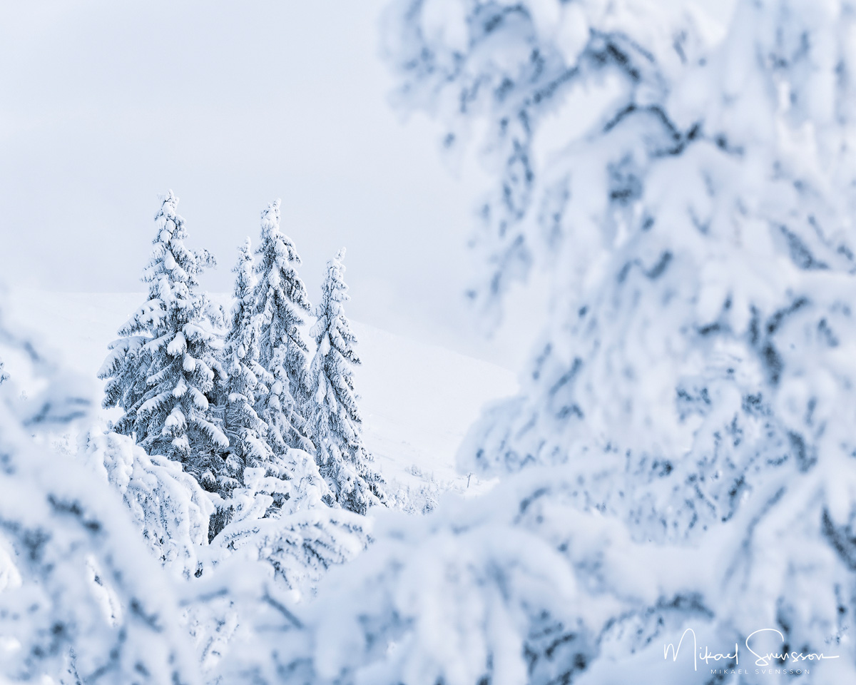 Lofsdalen, Härjedalen. Foto: Mikael Svensson, www.mikaelsvensson.com