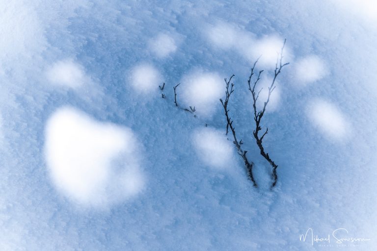 Grövelsjöfjällen, Dalarna. Foto: Mikael Svensson, www.mikaelsvensson.com