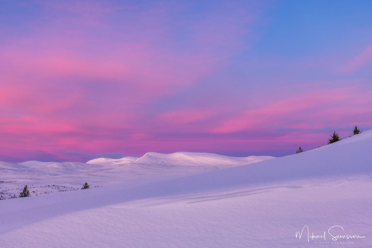 Gryningsljus i Grövelsjöfjällen, Dalarna.