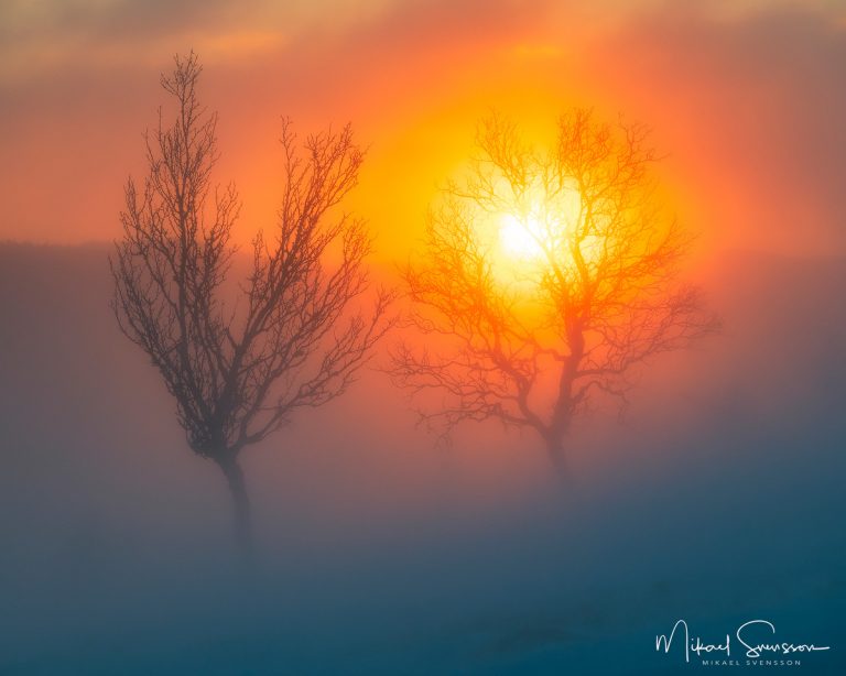 Soluppgång vid Grövelsjöfjällen, Dalarna.