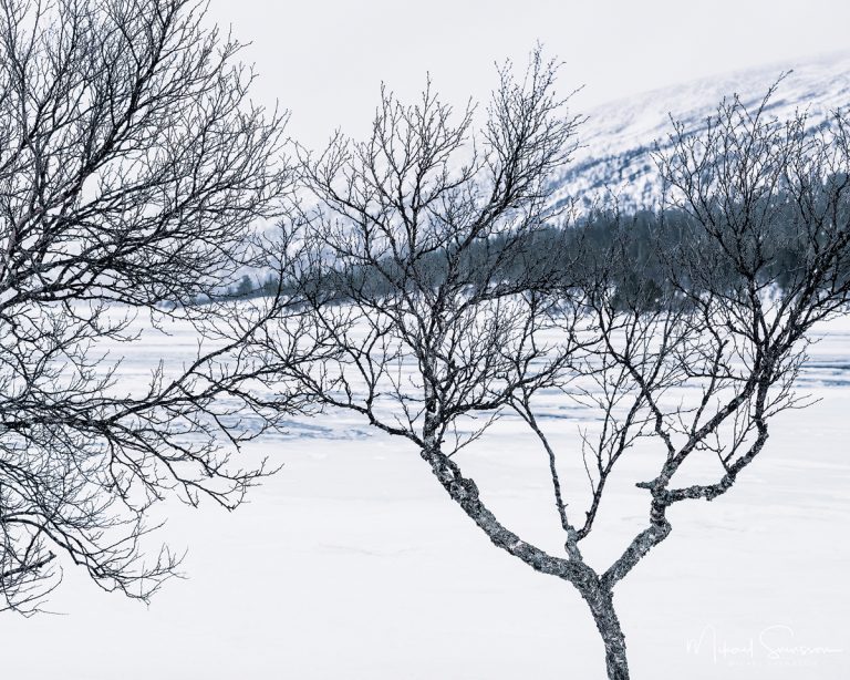 Grövelsjön, Dalarna, Sweden. Foto: Mikael Svensson, www.mikaelsvensson.com