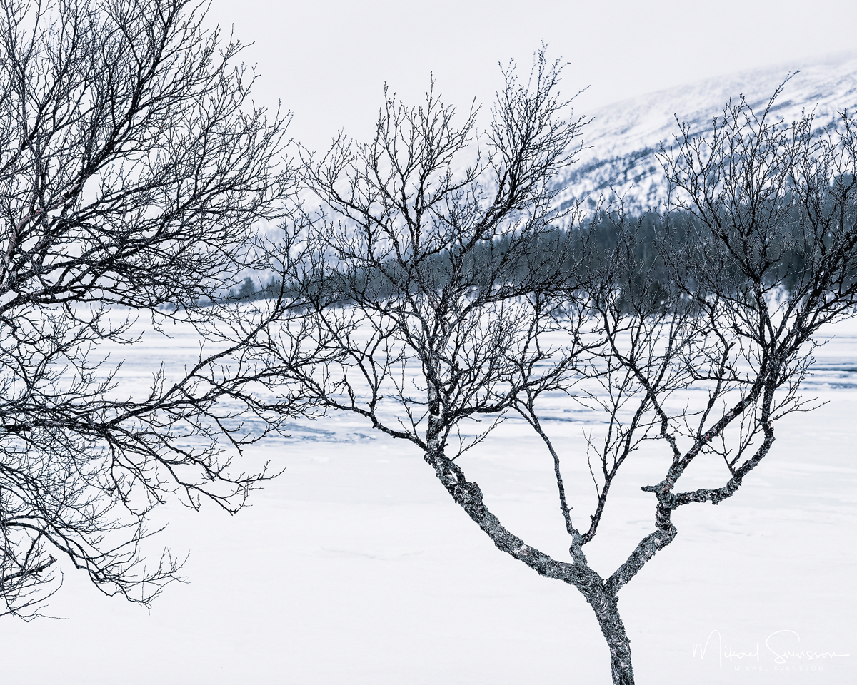 Grövelsjön, Dalarna, Sweden. Foto: Mikael Svensson, www.mikaelsvensson.com