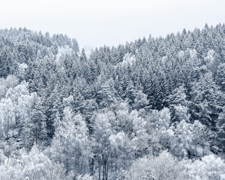 Balltorp, Mölndal. Foto: Mikael Svensson, www.mikaelsvensson.com