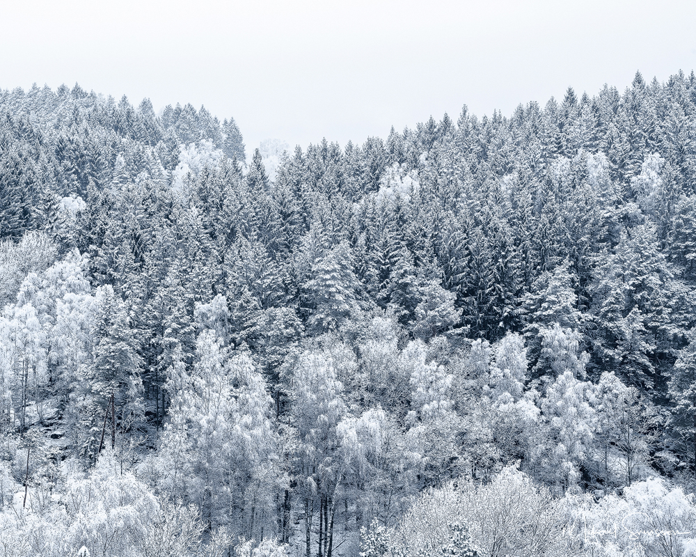 Balltorp, Mölndal. Foto: Mikael Svensson, www.mikaelsvensson.com