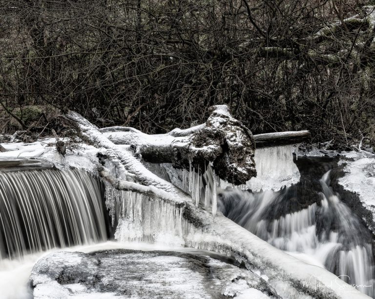 Lärjeån, Göteborg. Foto: Mikael Svensson, www.mikaelsvensson.com