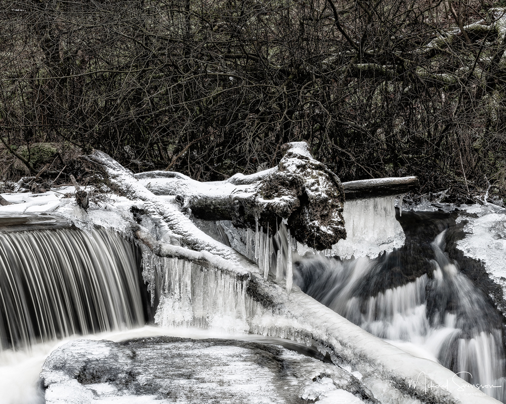Lärjeån, Göteborg. Foto: Mikael Svensson, www.mikaelsvensson.com