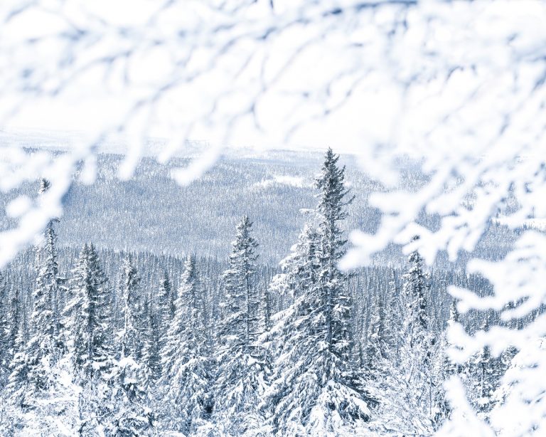 Grövelsjöfjällen, Dalarna, Sweden. Foto: Mikael Svensson, www.mikaelsvensson.com