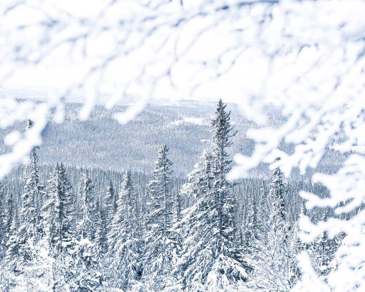 Grövelsjöfjällen, Dalarna, Sweden. Foto: Mikael Svensson, www.mikaelsvensson.com