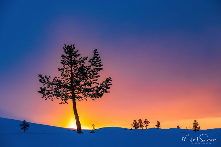 Lövåsen, Grövelsjöfjällen, Dalarna, Sweden. Foto: Mikael Svensson, www.mikaelsvensson.com