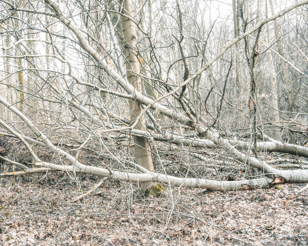 Sjöbergen, Göteborg. Foto: Mikael Svensson, www.mikaelsvensson.com