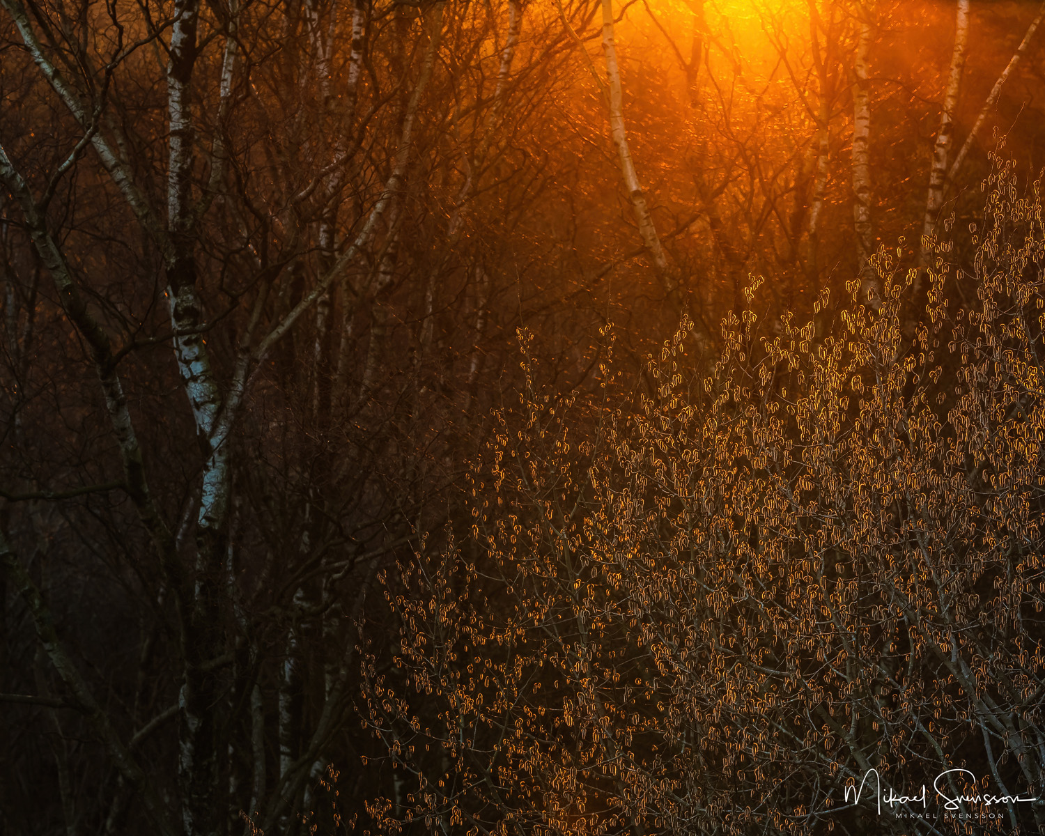 Västerberget, Mölndal. Foto: Mikael Svensson, www.mikaelsvensson.com