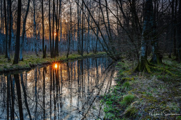 Soluppgång vid Gunnebo Kulturreservat, Mölndal.