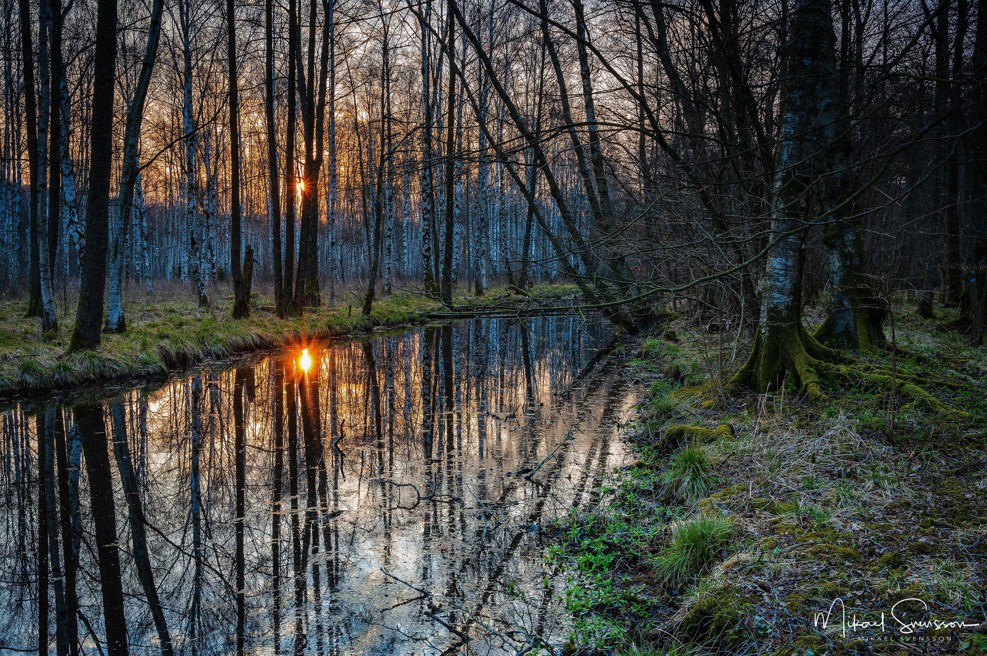 Soluppgång vid Gunnebo Kulturreservat, Mölndal.