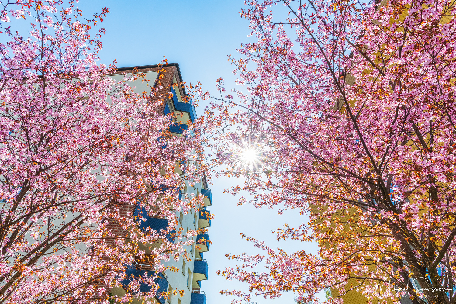 Bosgården, Mölndal. Foto: Mikael Svensson, www.mikaelsvensson.com
