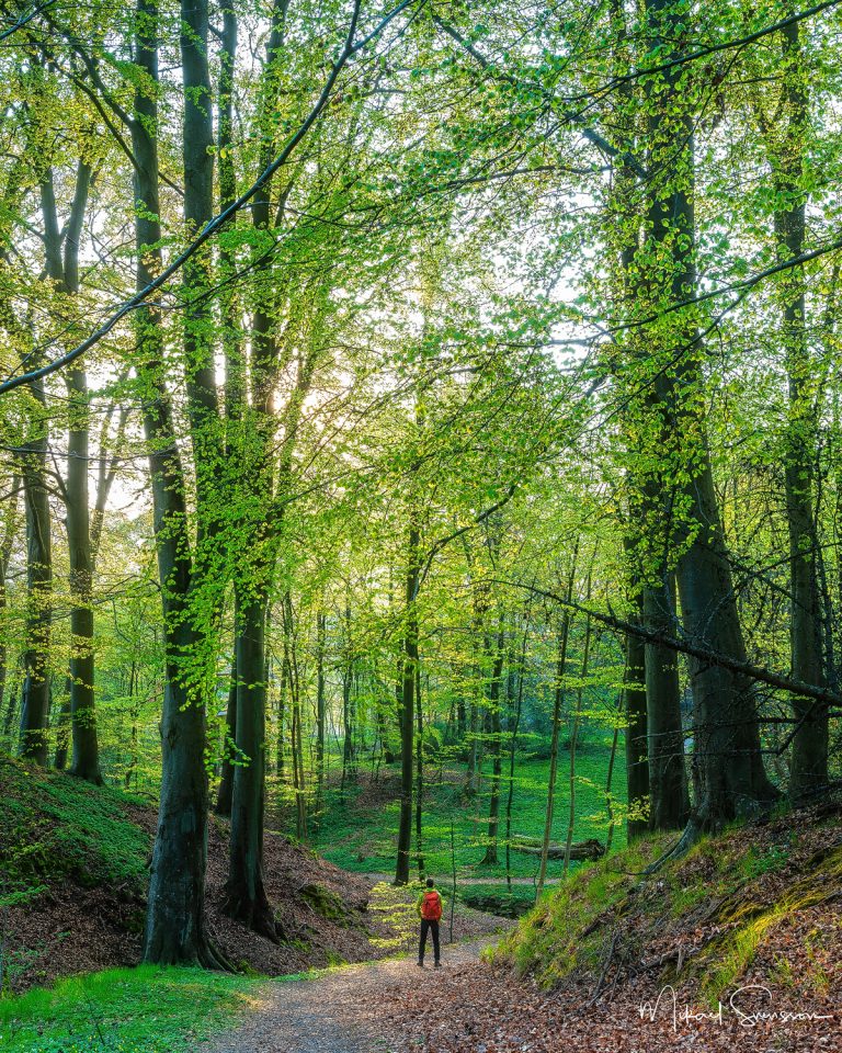 Vår vid Lackarebäck, Mölndal. Foto: Mikael Svensson, www.mikaelsvensson.com