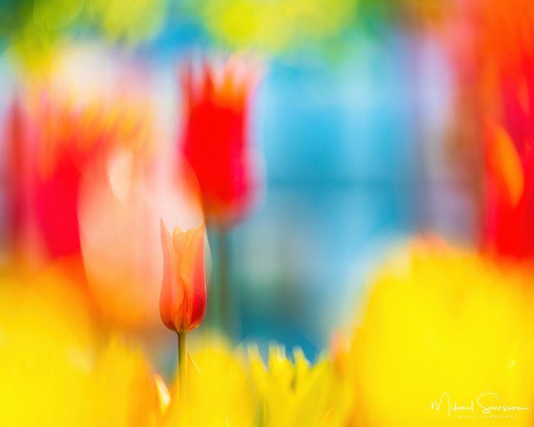 Stadshusplan, Mölndal. Foto: Mikael Svensson, www.mikaelsvensson.com