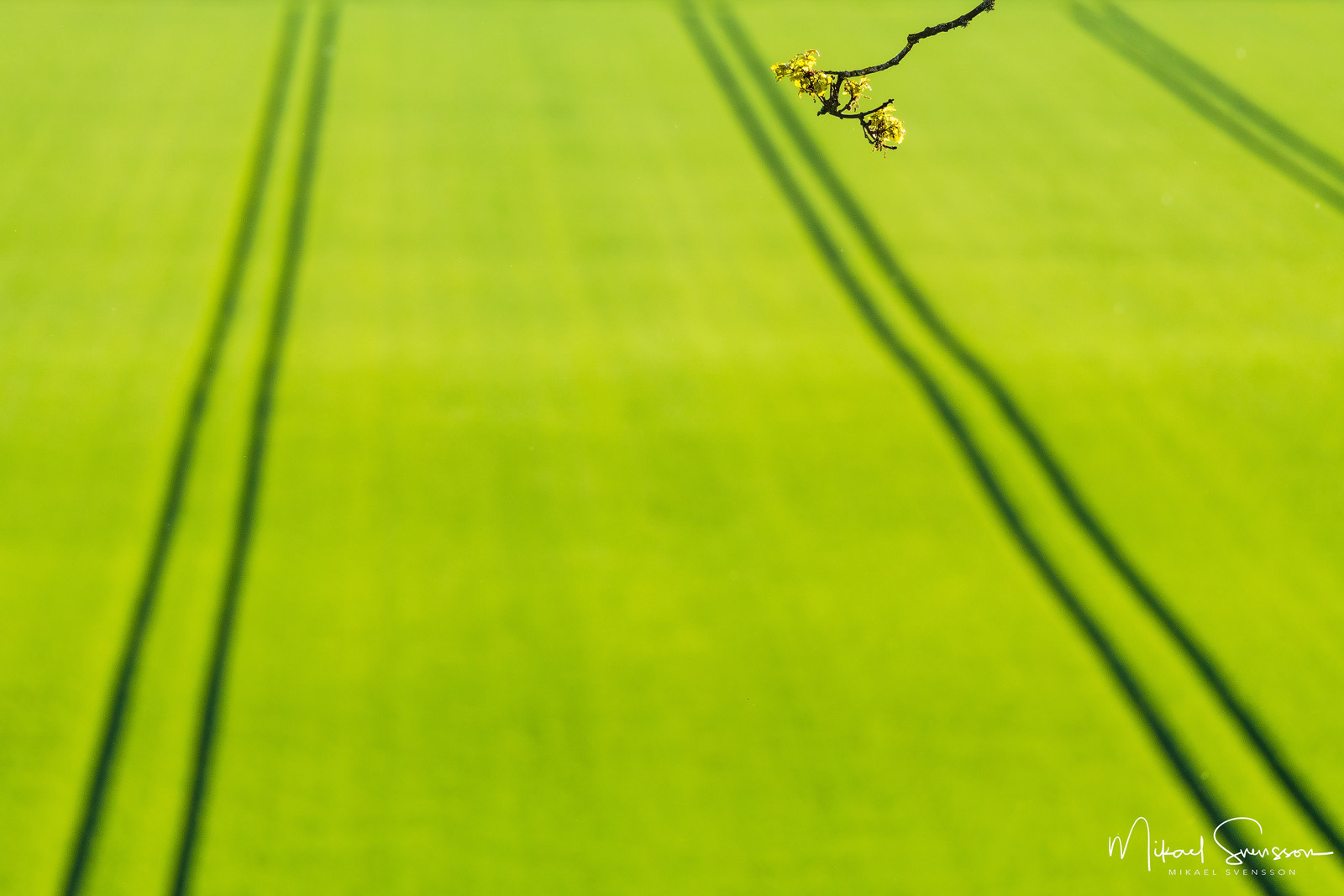 16 May 2019. Fjärås, Halland, Sweden.
