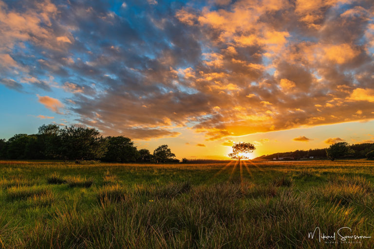 24 May 2019. Amundön, Göteborg, Sweden.