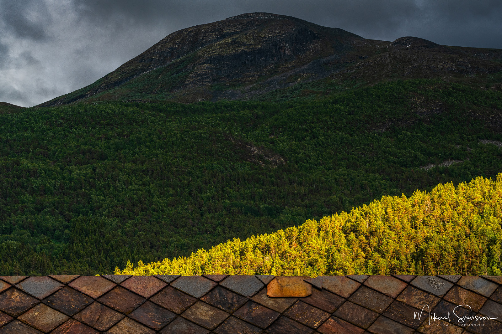30 June 2019.  Galde, Oppland, Norway.