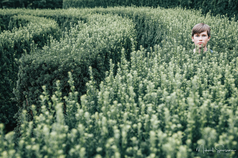 Slottsskogen, Göteborg, Sweden.