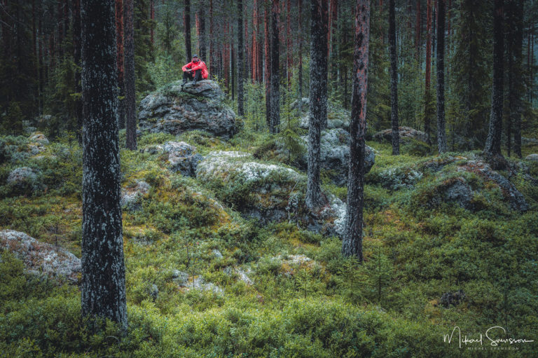 Heggenes, Valdres, Norway. Foto: Mikael Svensson , www.mikaelsvensson.com