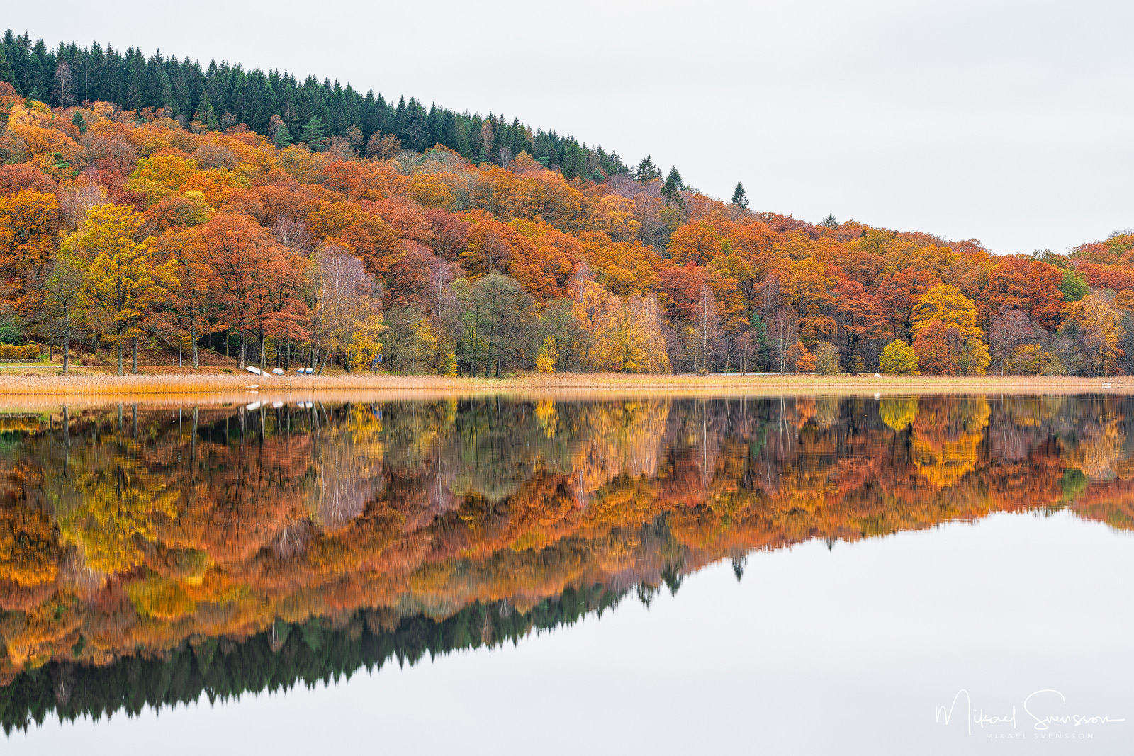 Höstfärger vid Rådasjön, Mölndal.