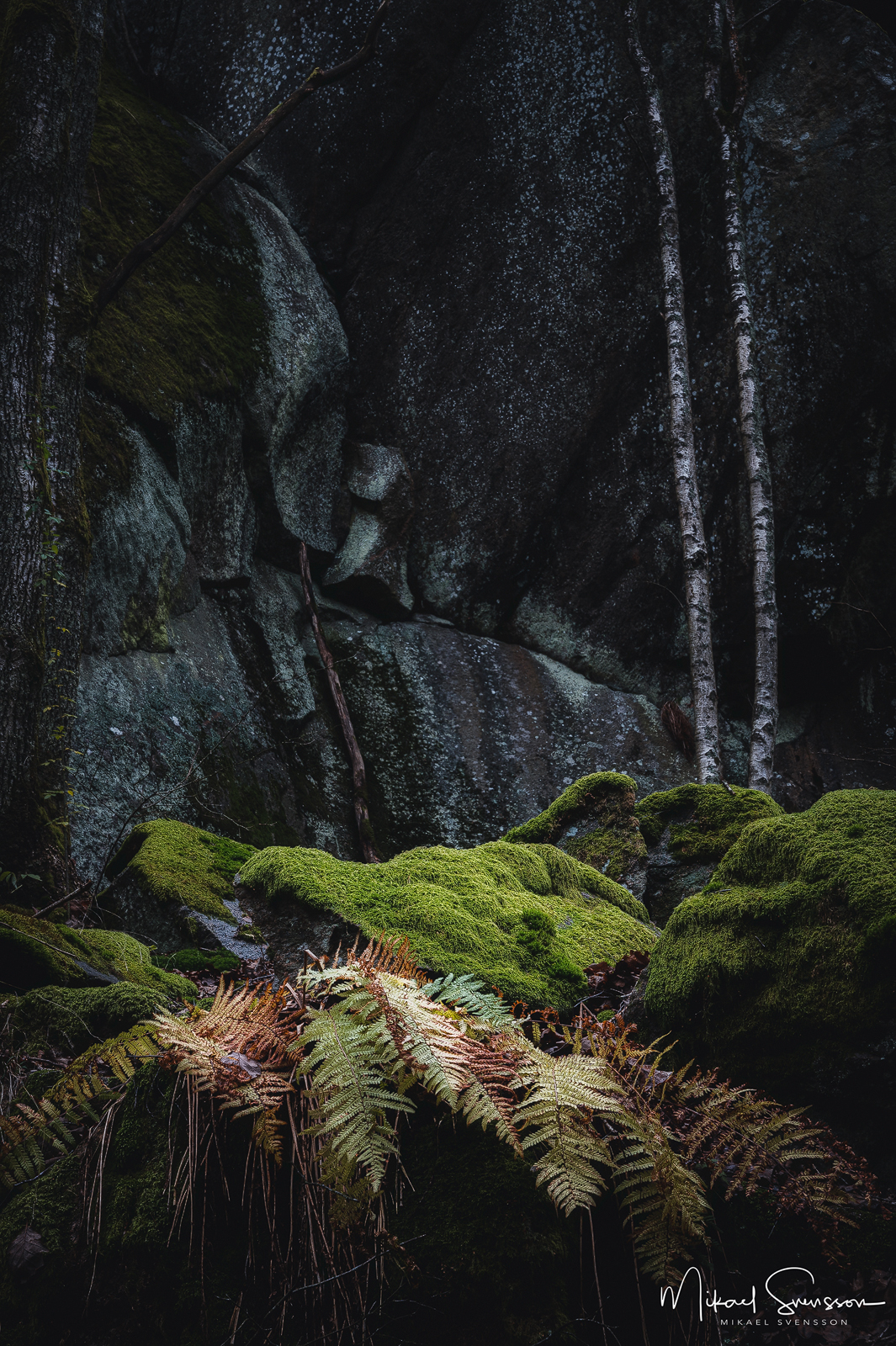 Sandsjöbacka Naturreservat, Mölndal