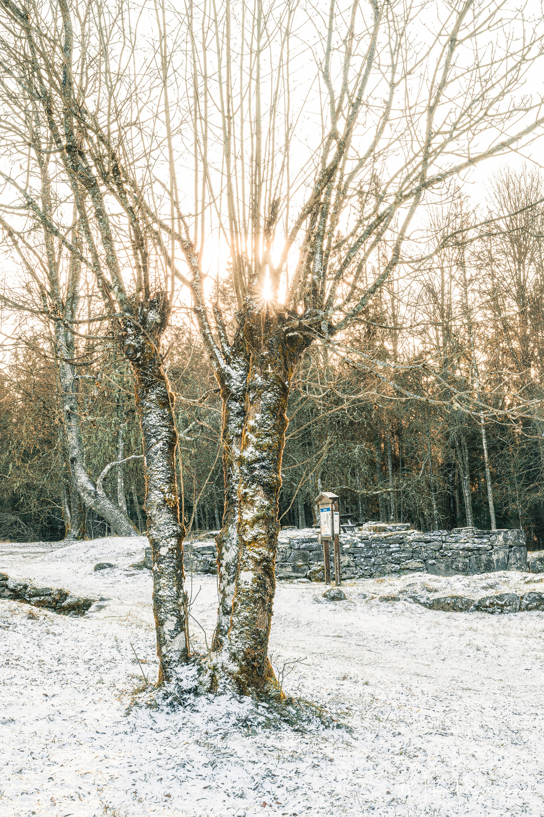 Klippans Naturreservat, Härryda kommun