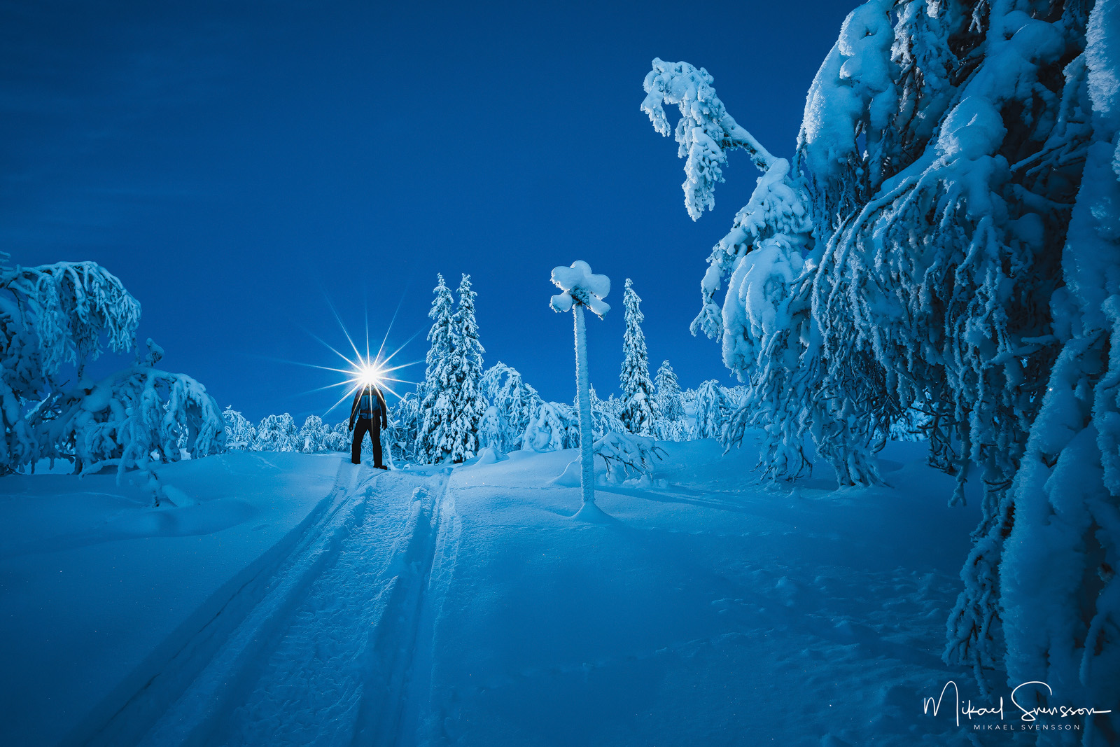 Lofsdalsfjällen, Härjedalen.
