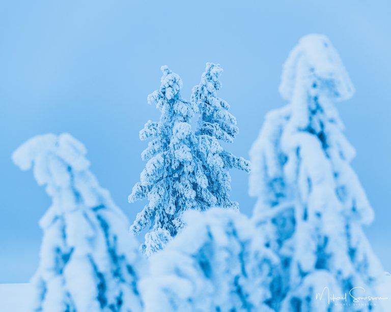 Lofsdalsfjällen, Härjedalen.