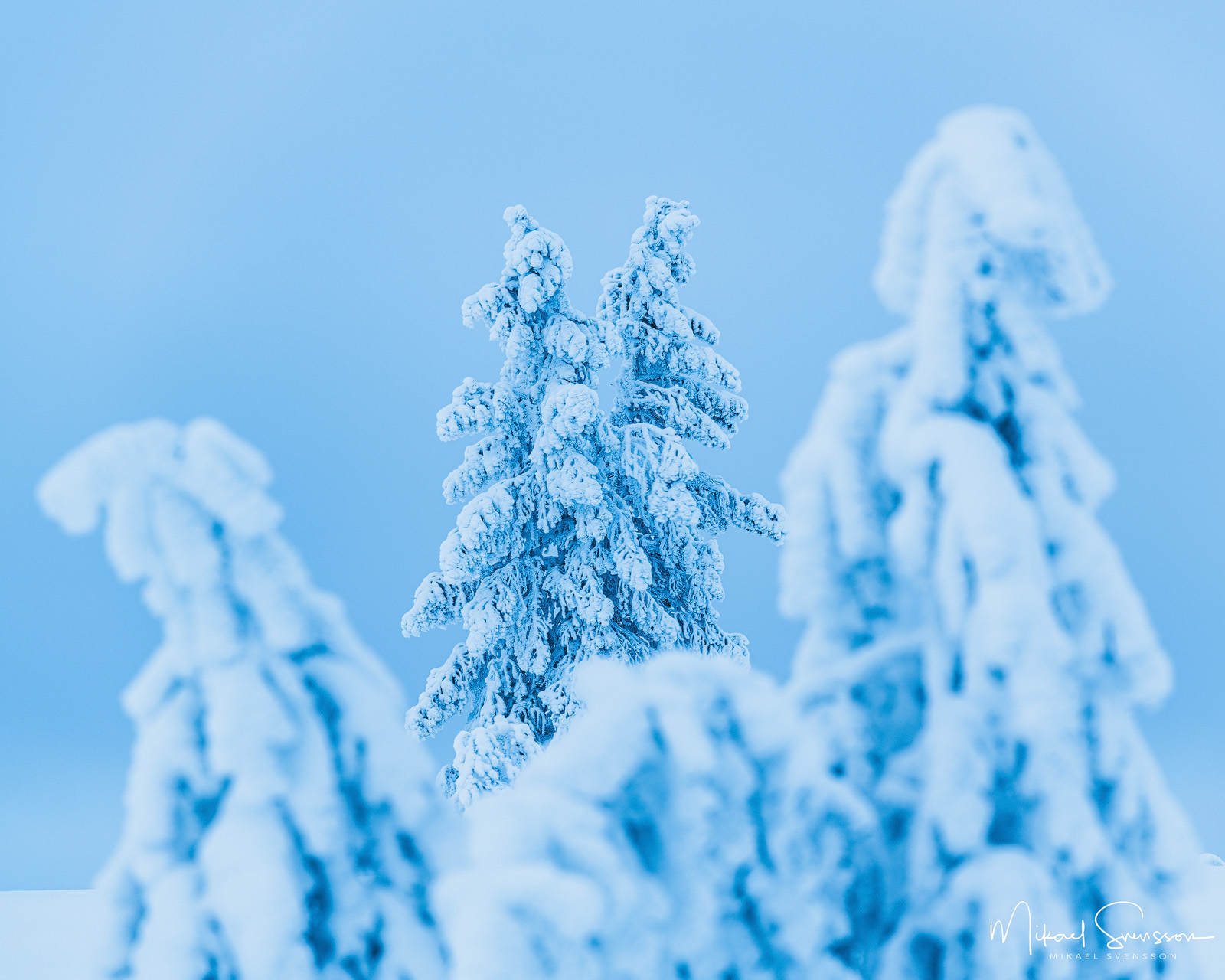Lofsdalsfjällen, Härjedalen.