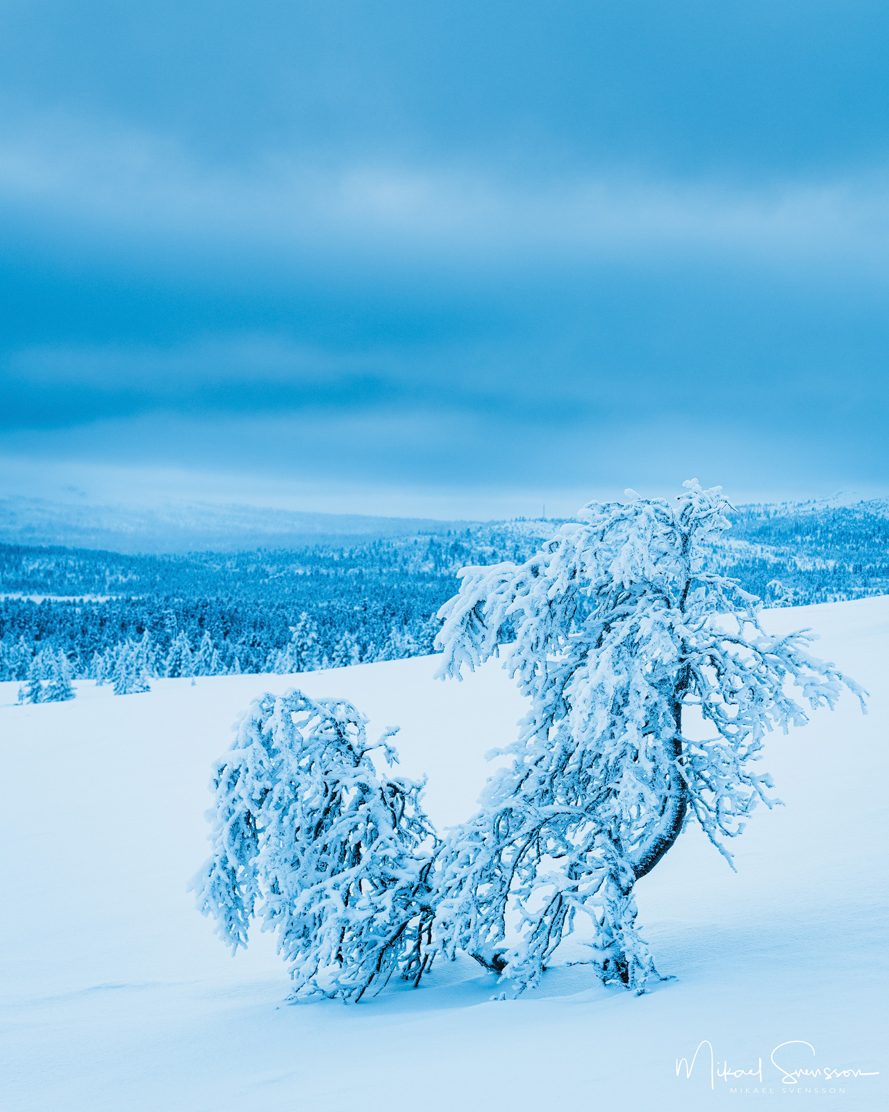 Valdalsfjellet, Hedmark fylke, Norge.