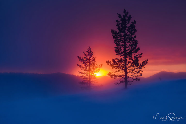 Grövelsjöfjällen, Dalarna.