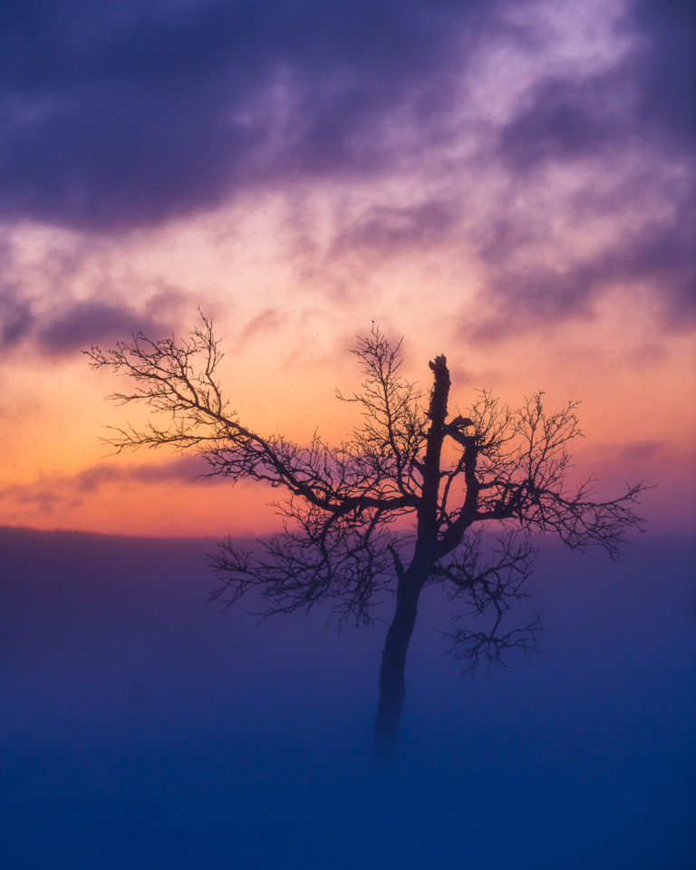 Grövelsjöfjällen, Dalarna.